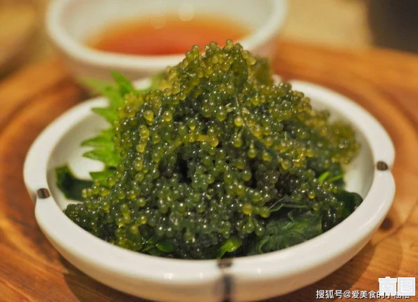 安比驱动盘推荐：如何选择适合你的高性能存储解决方案，提升数据传输效率与安全性