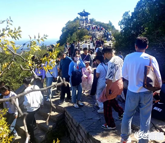 红桃视频在线观看：最新动态与用户反馈分析，助力提升观看体验和内容质量