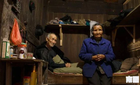 儿子耕种母亲的田地叫什么电影？这部影片深刻探讨了家庭关系与责任感，值得一看
